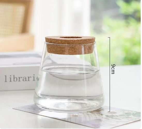 Glass Hydroponic Plant Vase