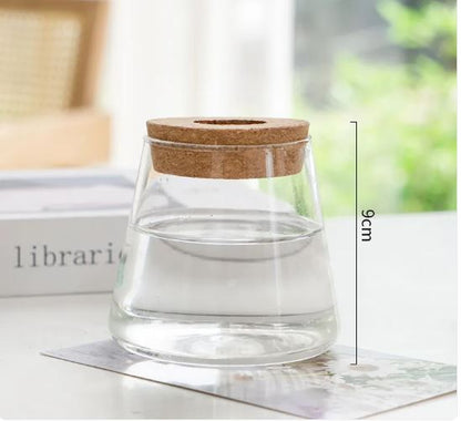 Glass Hydroponic Plant Vase