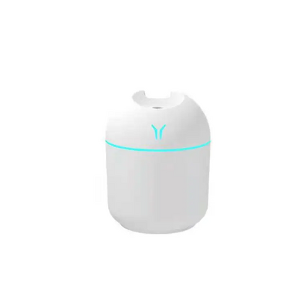 Mini USB Aromatherapy Diffuser