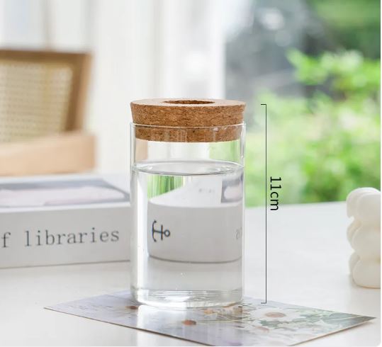 Glass Hydroponic Plant Vase