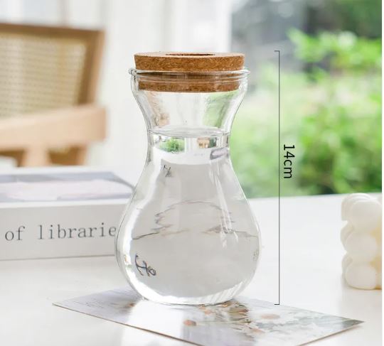 Glass Hydroponic Plant Vase