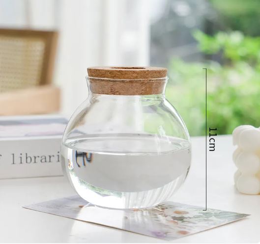 Glass Hydroponic Plant Vase