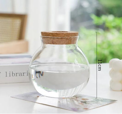 Glass Hydroponic Plant Vase